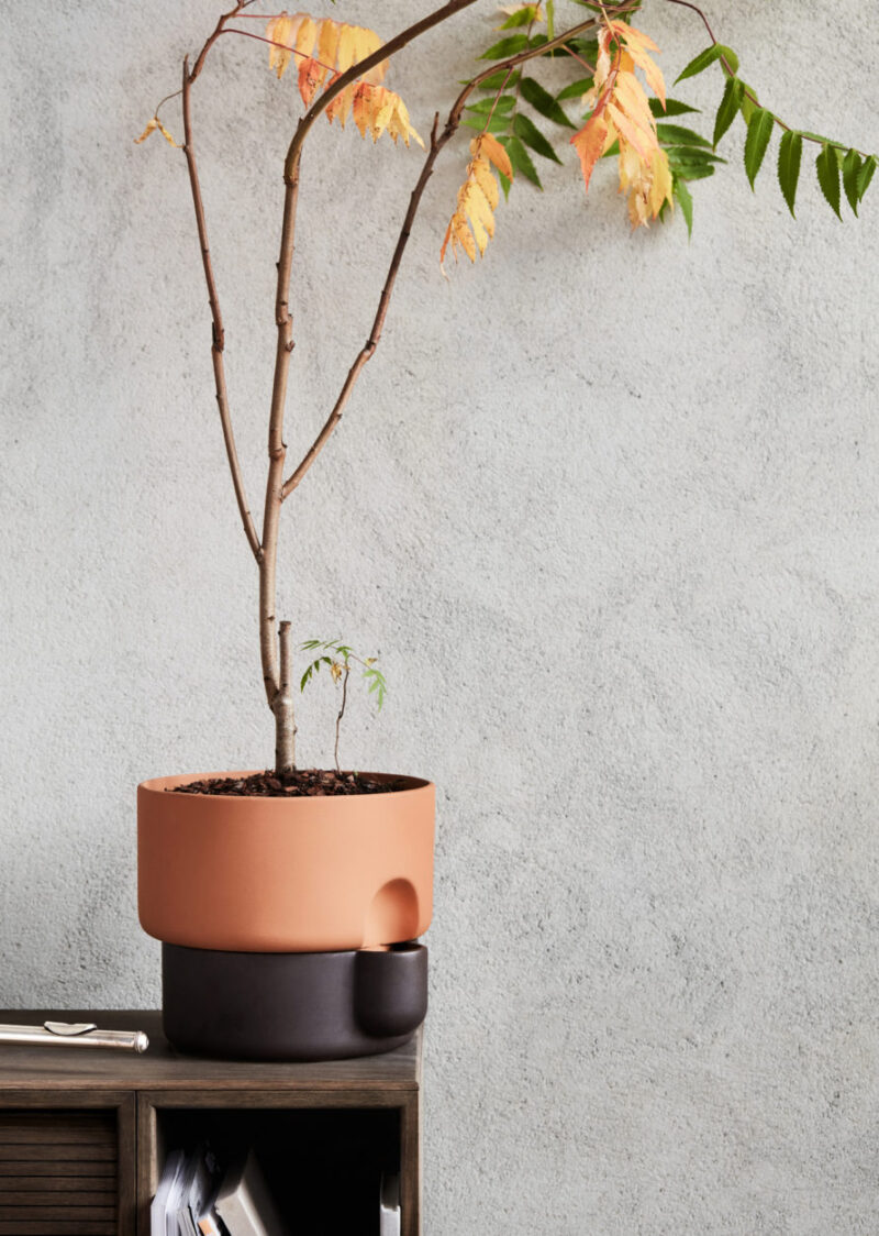 Plantenpot Northern Oasis - Afbeelding 3
