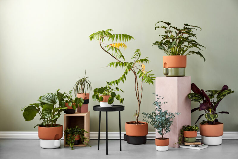 Plantenpot Northern Oasis - Afbeelding 2