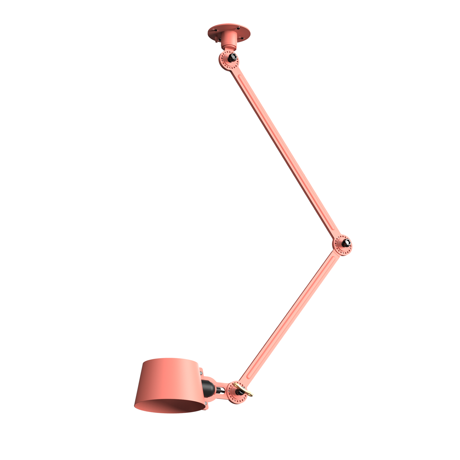 Daybreak Rose 1487