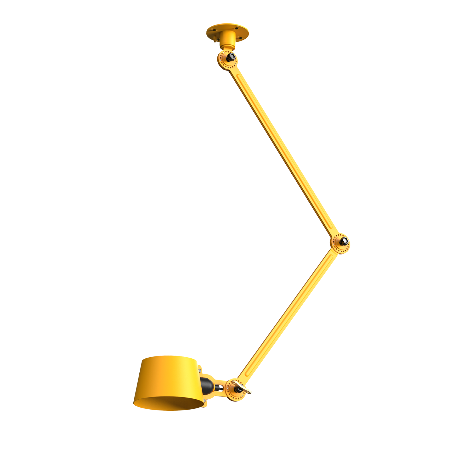 Sunny Yellow 1445
