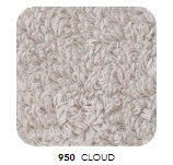 950 cloud
