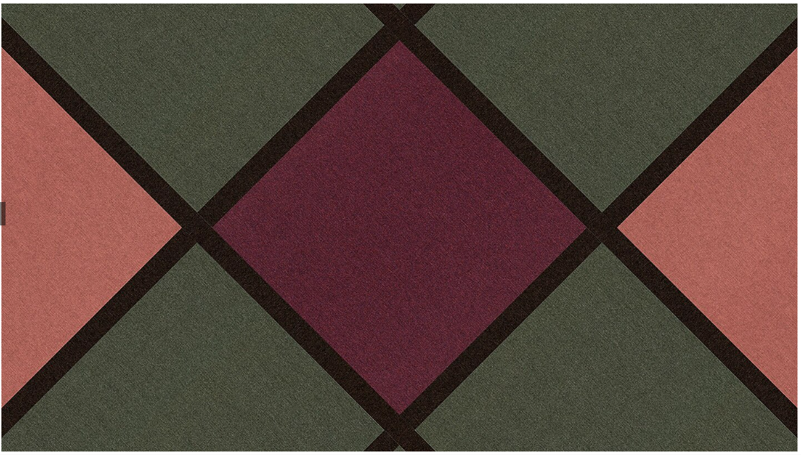 170 x 240 cm