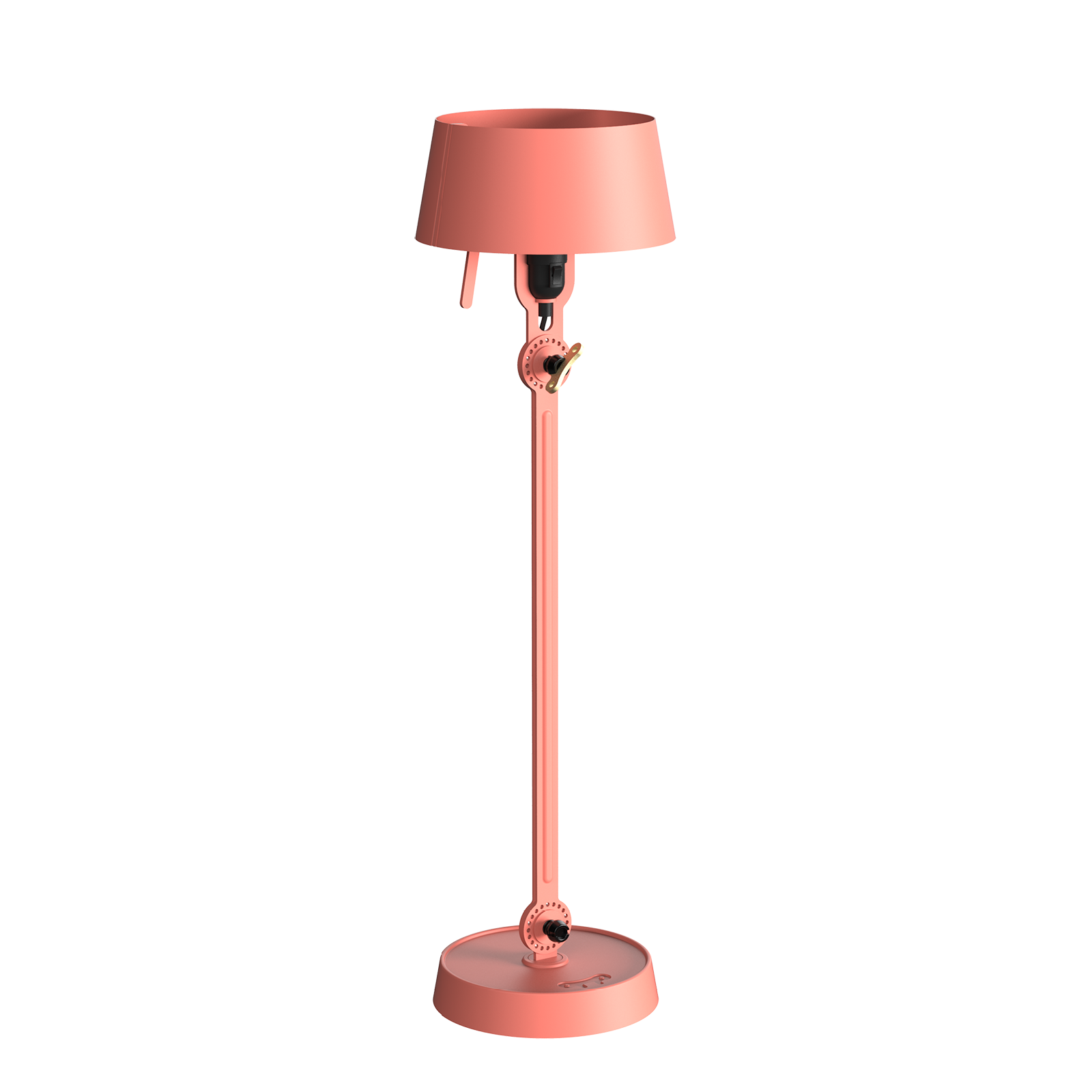 Daybreak Rose 1464