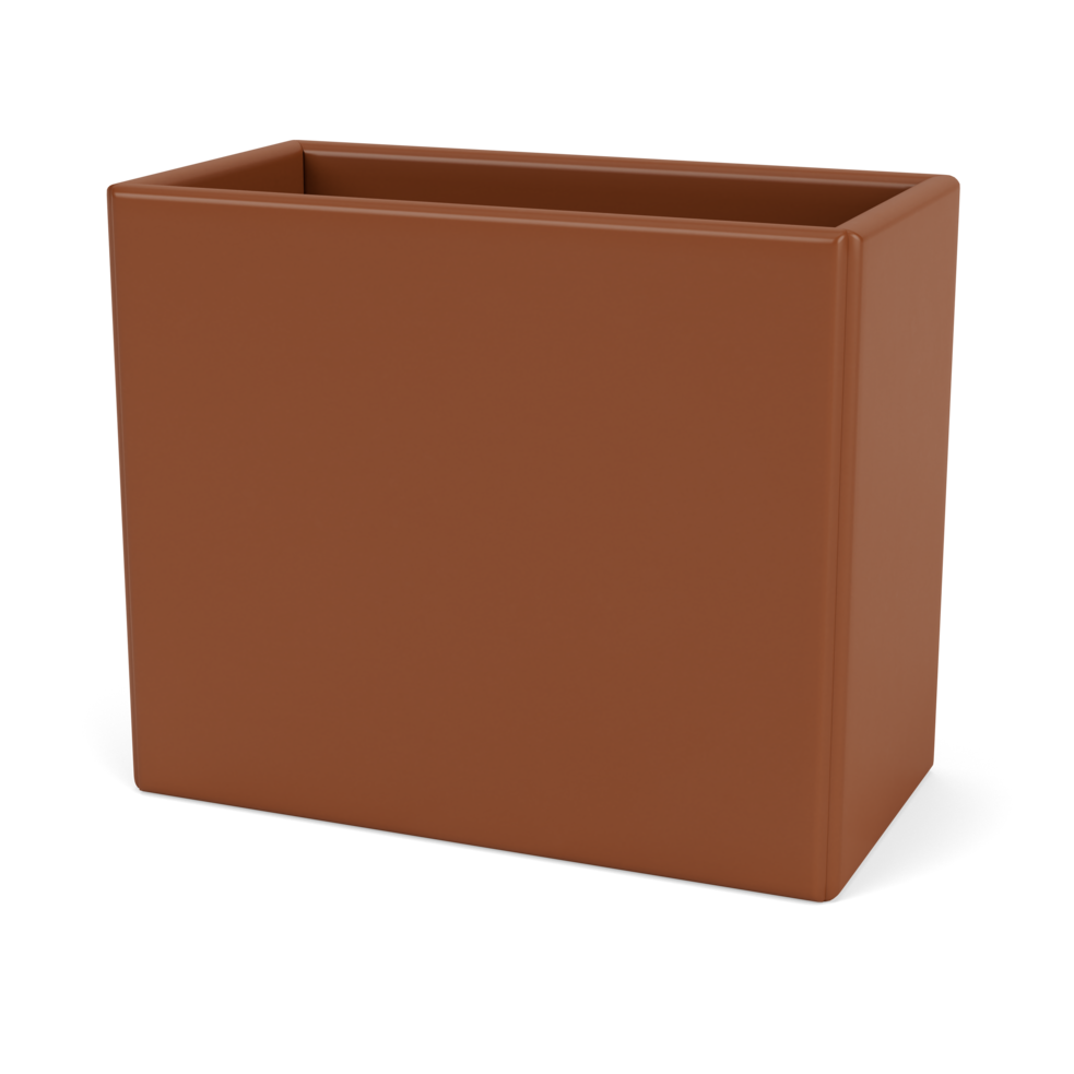 146 Hazelnut
