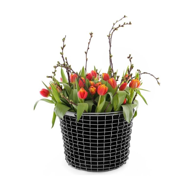 Mand Korbo Bucket 16 - Afbeelding 5