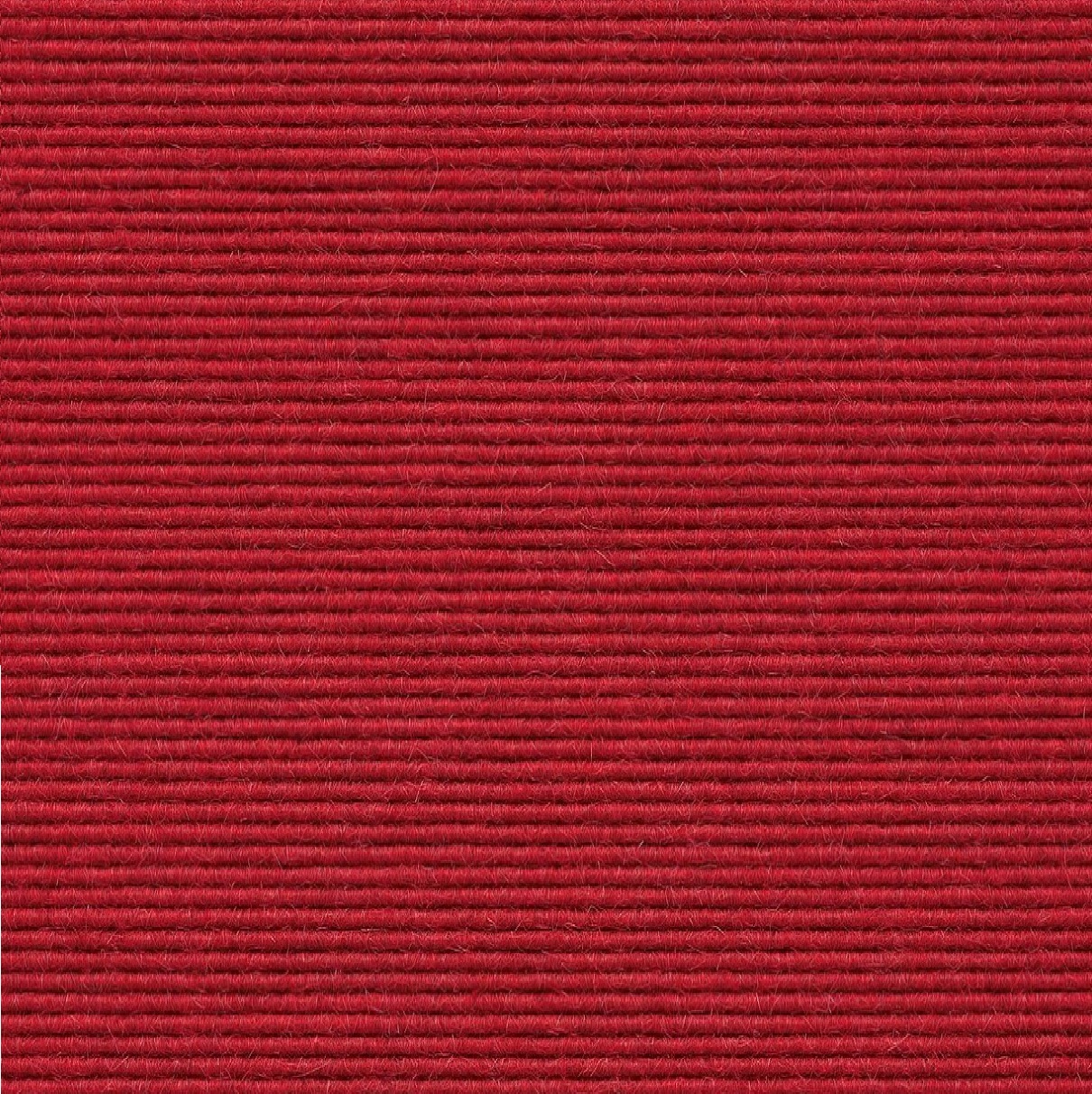 570 aardbei
