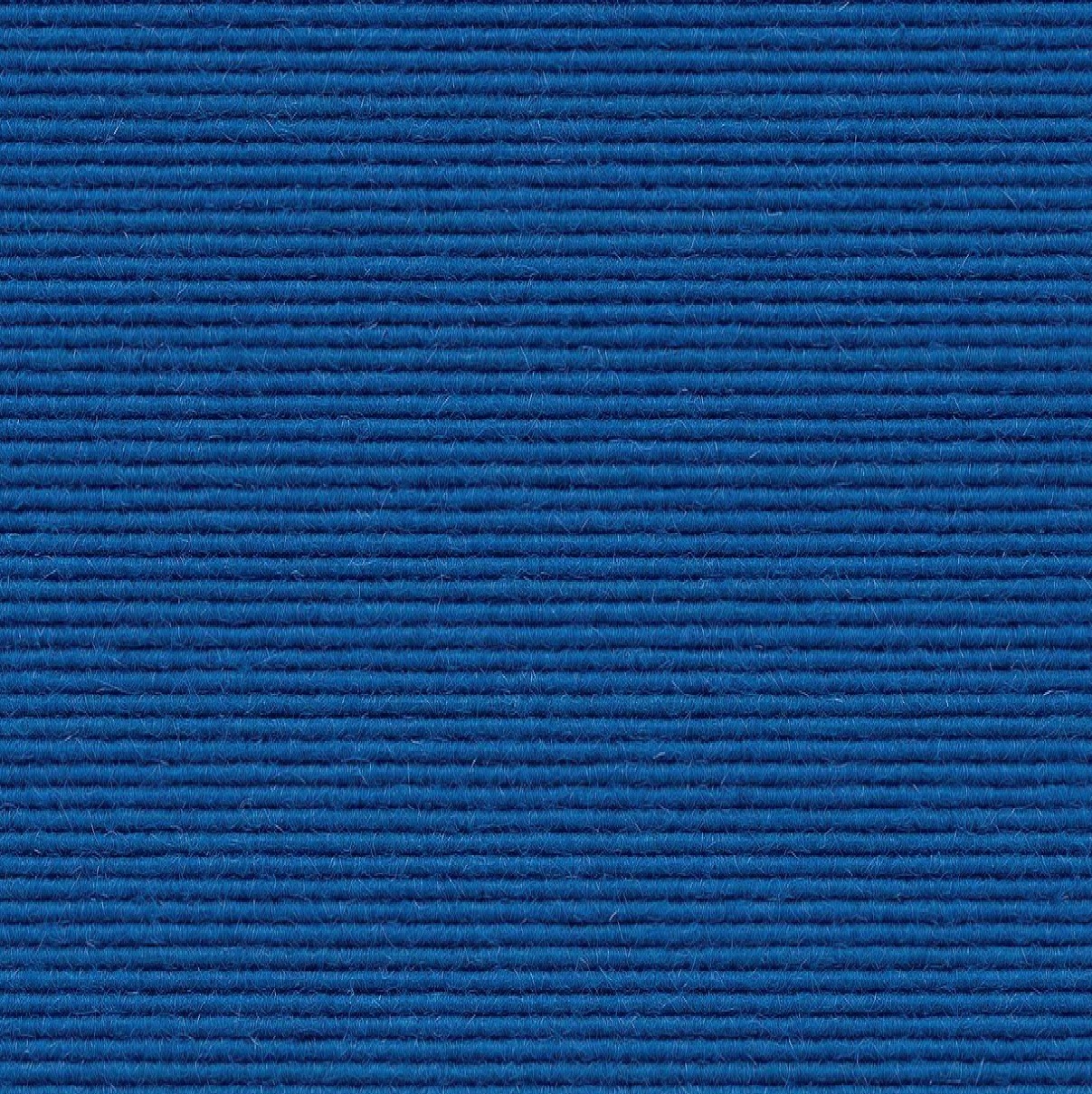 516 blauw druifje