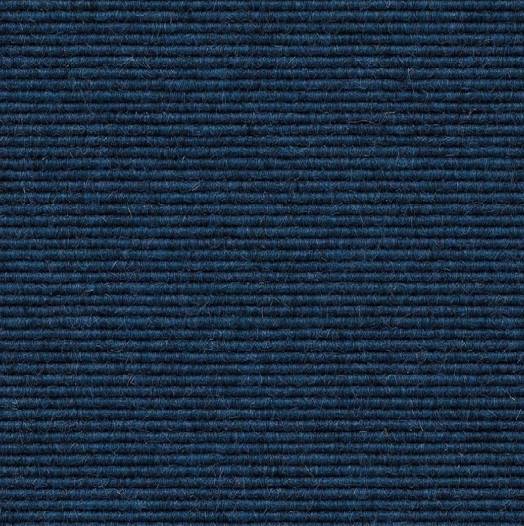 575 blauwe bes