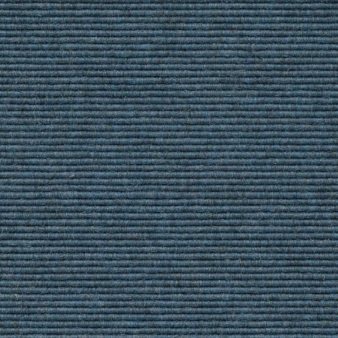 514 blauwe distel