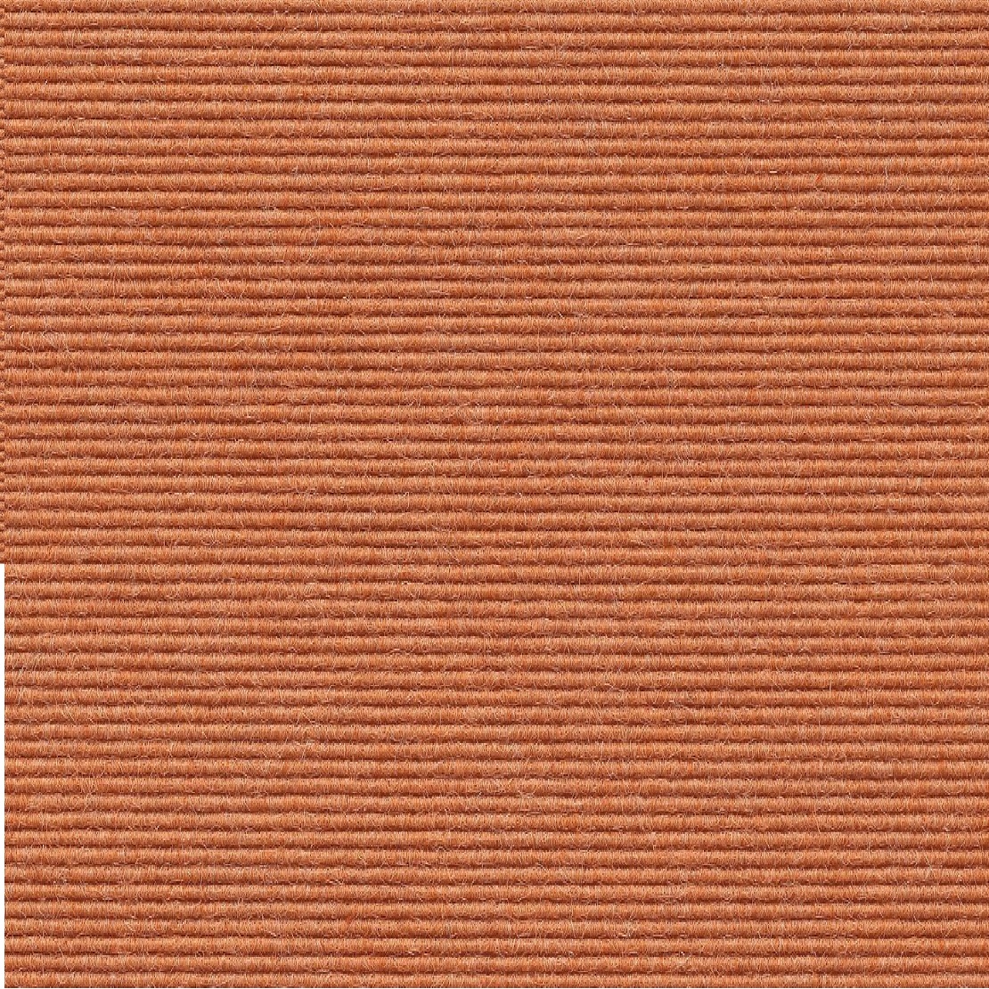 591 zwam