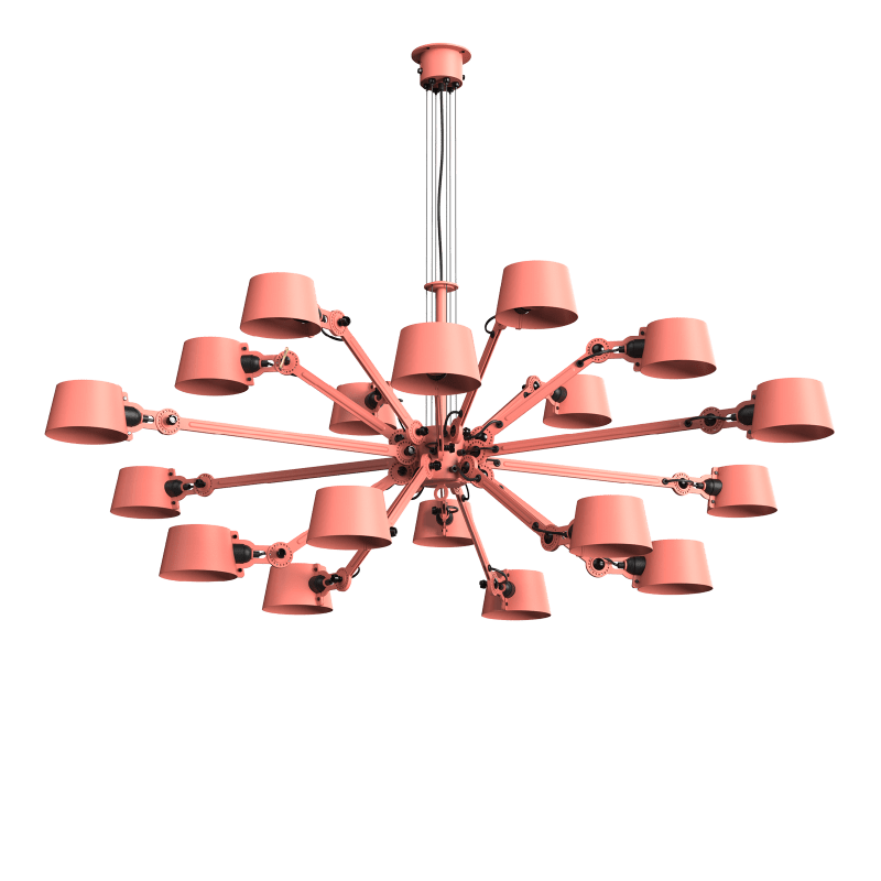 Daybreak Rose 1491