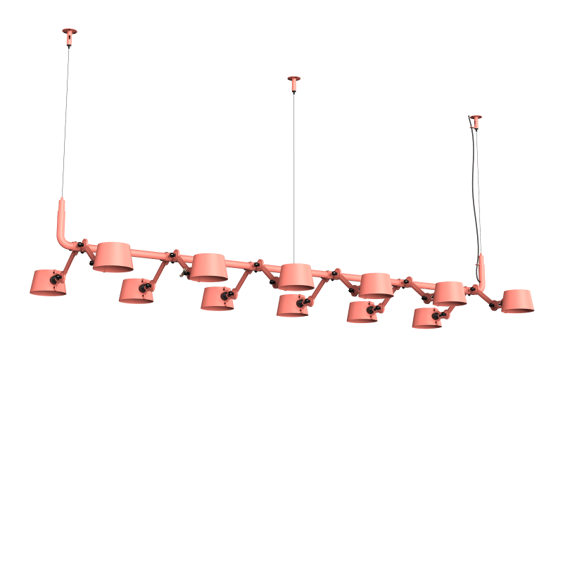 Daybreak Rose 1491