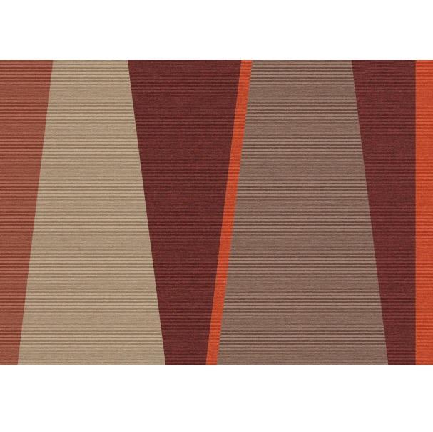 170 x 240 cm