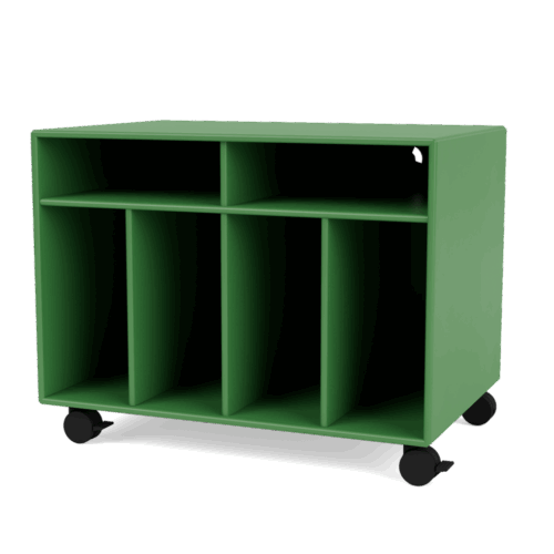 Vinyl Storage Montana Selection Spin I - 152 Parsley