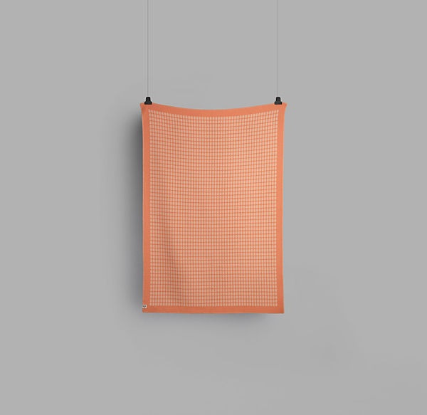 6254 Coral
