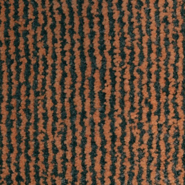 250 x 350