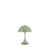 Opaque moss green