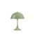 Opaque moss green