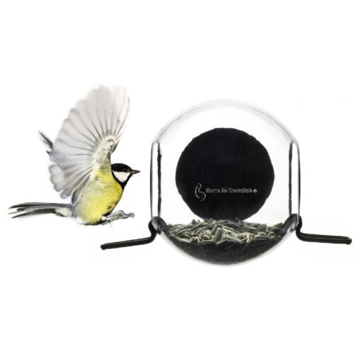 Birdfeeder Born in Sweden